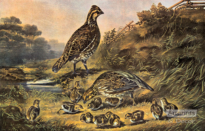 The Cares Of A Family Art Print By Currier Ives At Artprintsanddecor Com