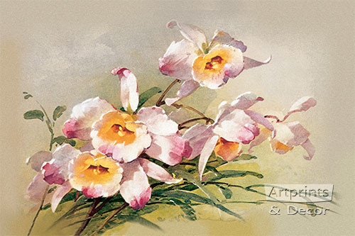 Pink Narcissus - Art Print