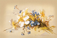 White Narcissus - Art Print