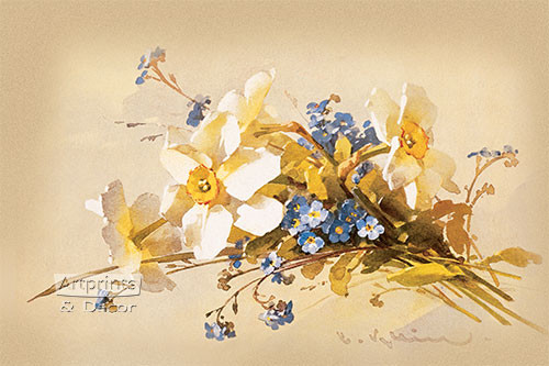 White Narcissus - Art Print