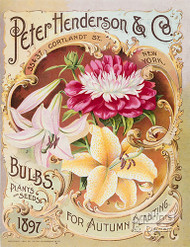Peter Henderson & Co Seed Cat. 1897 - Art Print