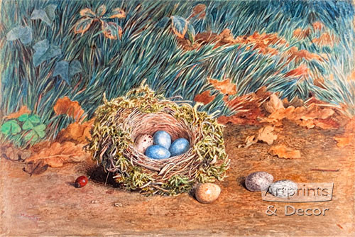 The Birds Nest by W. Hunt - Art Print