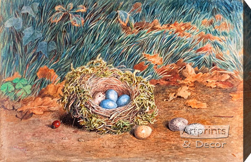 The Birds Nest by W. Hunt - Stretched Canvas Art Print