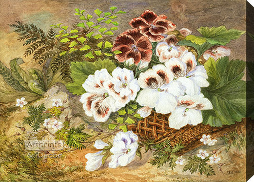 Flowering Basket by JJB - Stretched Canvas Art Print