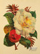 Victorian Floral II - Art Print