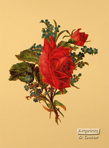 Victorian Floral III - Art Print