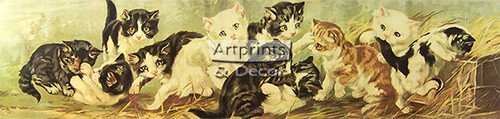 Yard of Kittens - Framed Art Print