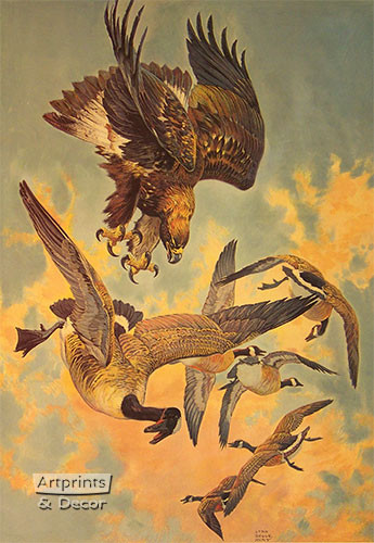 Dangerous Flight by Lynn Bogue Hunt - Framed Art Print
