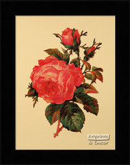 Victorian Floral - Framed Art Print*