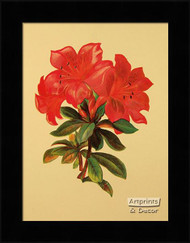 Victorian Floral IV - Framed Art Print*