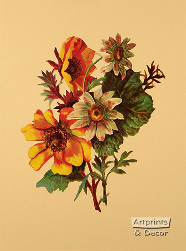 Victorian Floral VI - Framed Art Print