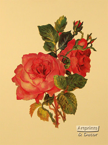 Victorian Floral VIII - Framed Art Print