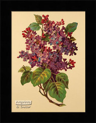 Victorian Floral X - Framed Art Print*