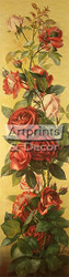 Study of Roses by V. Sagon - Art Print