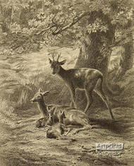 The Restling- Place of the Deer - Framed Art Print