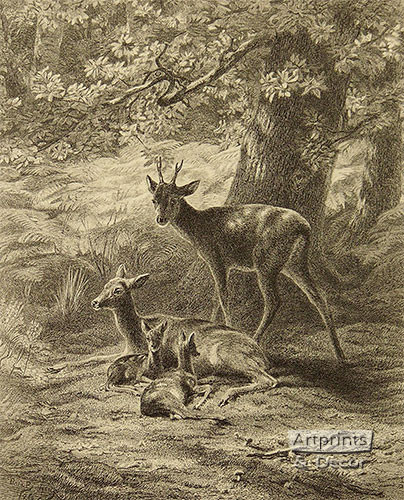 The Restling- Place of the Deer - Framed Art Print
