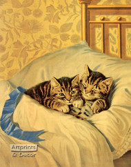  Kittens on a pillow - Framed Art Print