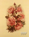 Pale Pink Roses - Framed Art Print