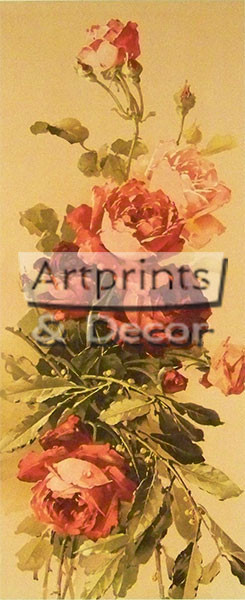 Supreme Roses - Framed Art Print