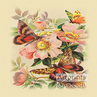 Butterflies & Wild Roses - Art Print