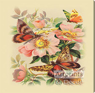 Butterflies & Wild Roses - Stretched Canvas Art Print
