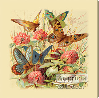 Butterflies & Clover - Stretched Canvas Art Print
