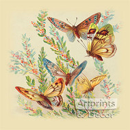 Butterflies & Cape Heath - Art Print