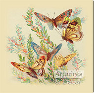 Butterflies & Cape Heath - Stretched Canvas Art Print