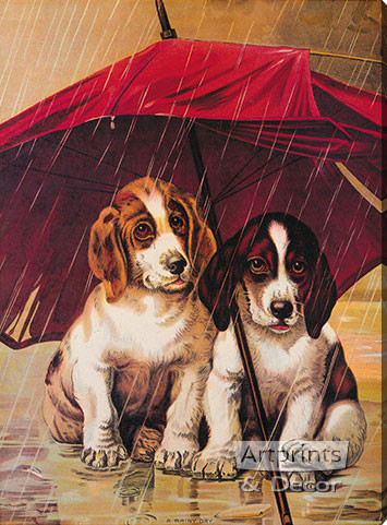 A Rainy Day - Stretched Canvas Art Print