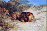 The Hunt by Heywood Hardy - Stretched Canvas Art Print