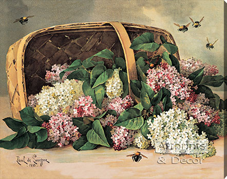 A Basket of Lilacs by Paul de Longpre - Stretched Canvas Art Print