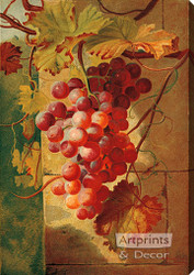 Red Grapes by William Pickles London - Stretched Canvas Art Print