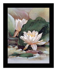 Water Lily - Framed Art Print