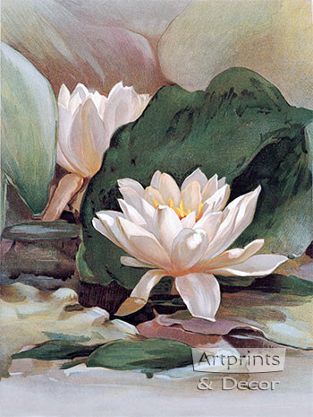 Water Lily - Art Print