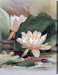 Water Lily - Stretched Canvas Art Print