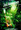 Emerald Forest, The (Smaragdwald, Der)