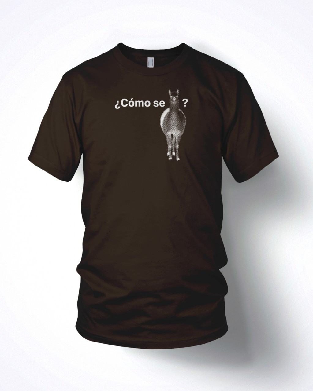 Como Se Llama T-Shirt Bilingual What is your Name Tee