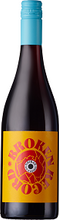 broken record shiraz