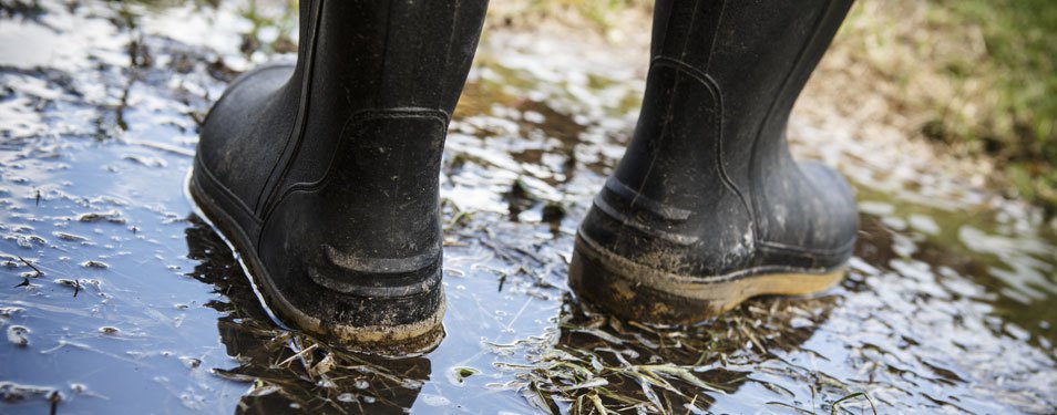 Best shooting wellies for shooting and 