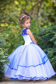 Princess Couture Pageant Flower Girl Baby Wedding Party Lace Tulle Dress