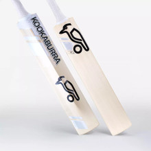 Kookaburra Ghost 8.1 Kashmir Willow Cricket Bat ' 2024