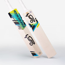 Kookaburra Rapid 1.1 English Willow Small Adult Cricket Bat ' 2022