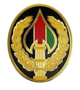 Special Operations Joint Task Force Afghanistan Combat Service Identification Badge (CSIB)