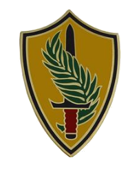 Army Element United States Central Command Combat Service Identification Badge (CSIB)