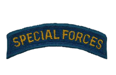 Special Forces Tab Patch- color