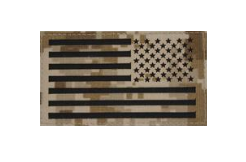 U.S. Flag Patch Reversed Field- Desert Digital