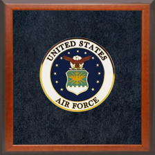 4" Honor Medallion- US Air Force Seal- Framed
