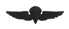 Navy/Marine Corps Badge: Parachutist- regulation, black metal