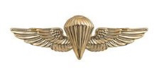 Navy/Marine Corps Badge: Parachutist- regulation, mirror finish