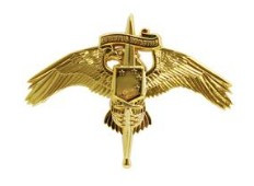 Marine Corps Badge: MARSOC Marine Corps Forces Special Operations Command